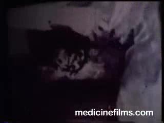 Linda Lovelace Having Sex With A Dog Medicinefilms