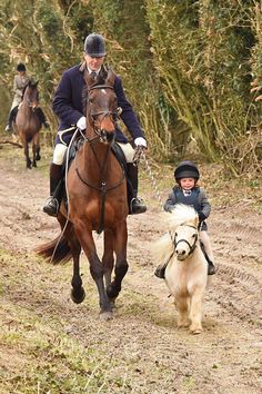Little Pony And Kid On A Ride With Dad And His Big Horse Too Cute