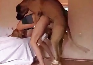 Massive Dog Raping A Girl