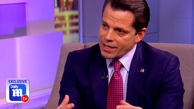 Mooch Tells Sex Claims Against Trump Didnt Stick Daily Mail Online