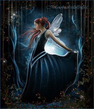 Mystical Fairies Moonlight Fairy Fairies Photo Mystical Fairies