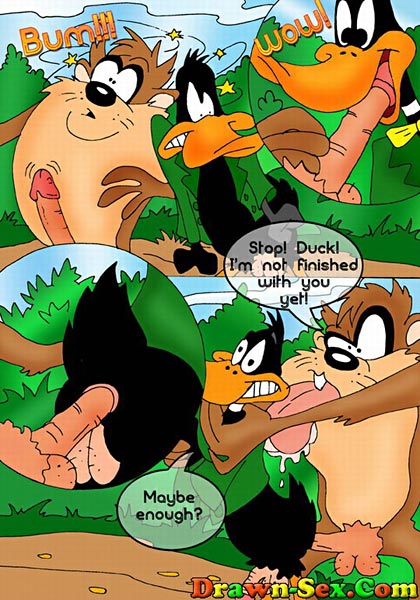 Naughty Tweety Bird Sharing Foxys Dick Till Fucked Cartoon Porn