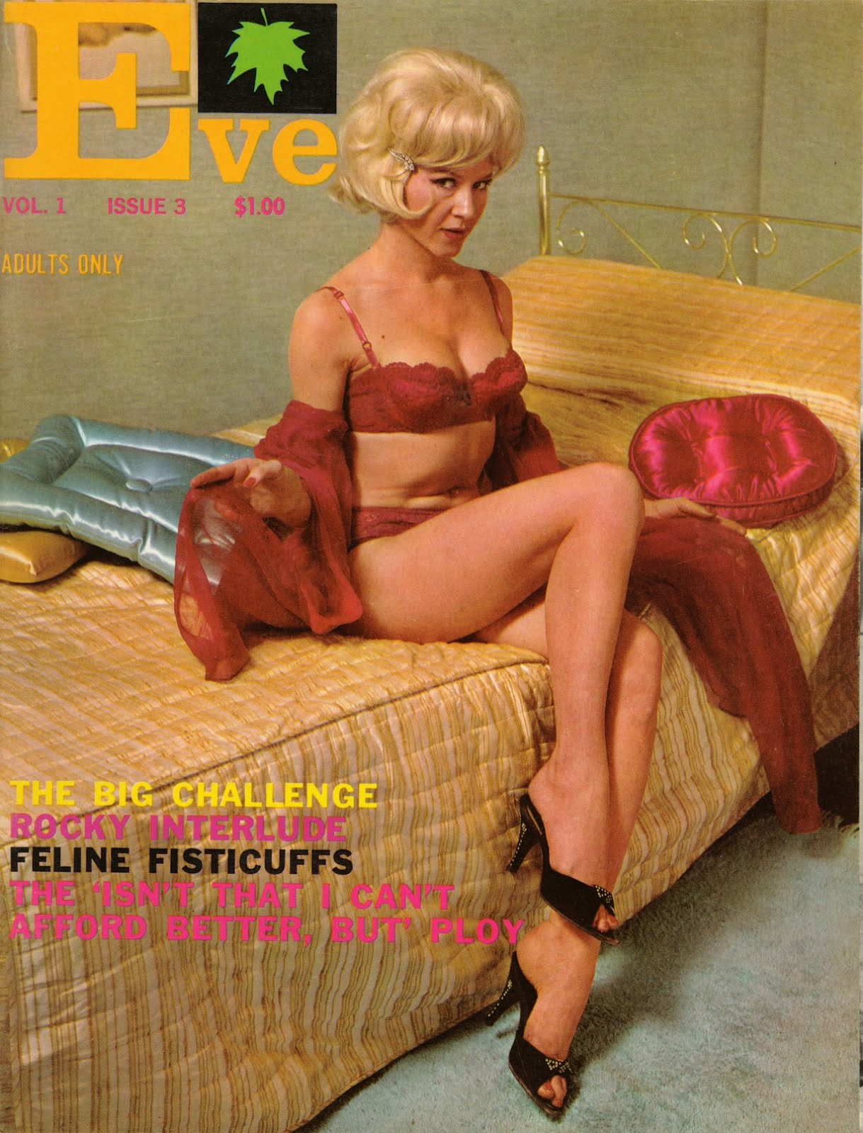 Neat Stuff Blog Vintage Adult Magazines 1