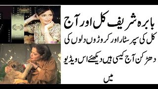 Pakistani Actress Babra Sharef Sex Scandles Download 1