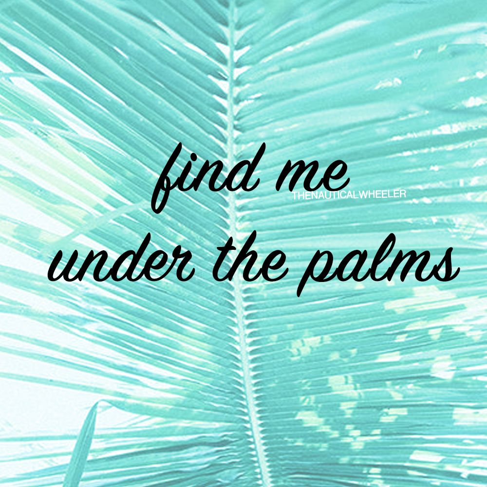Palm Tree Quote Palm Captions And Beach