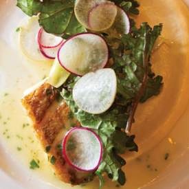 Pan Roasted Red Snapper With Celery Root Puree And Kale Salad