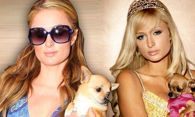 Paris Hilton Dedicates Instagram Page To Tinkerbell After Pet Dogs Death Daily Mail Online
