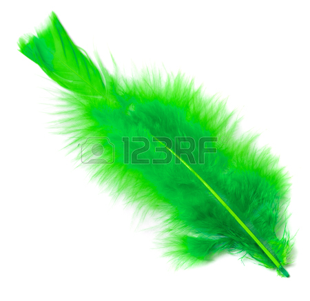Peacock Black White Stock Photos Pictures Royalty Free Peacock 3