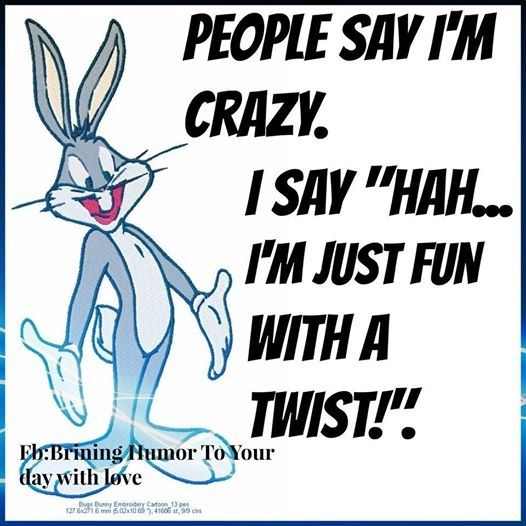 People Say I Am Crazy Funny Quotes Quote Lol Funny Quote Funny