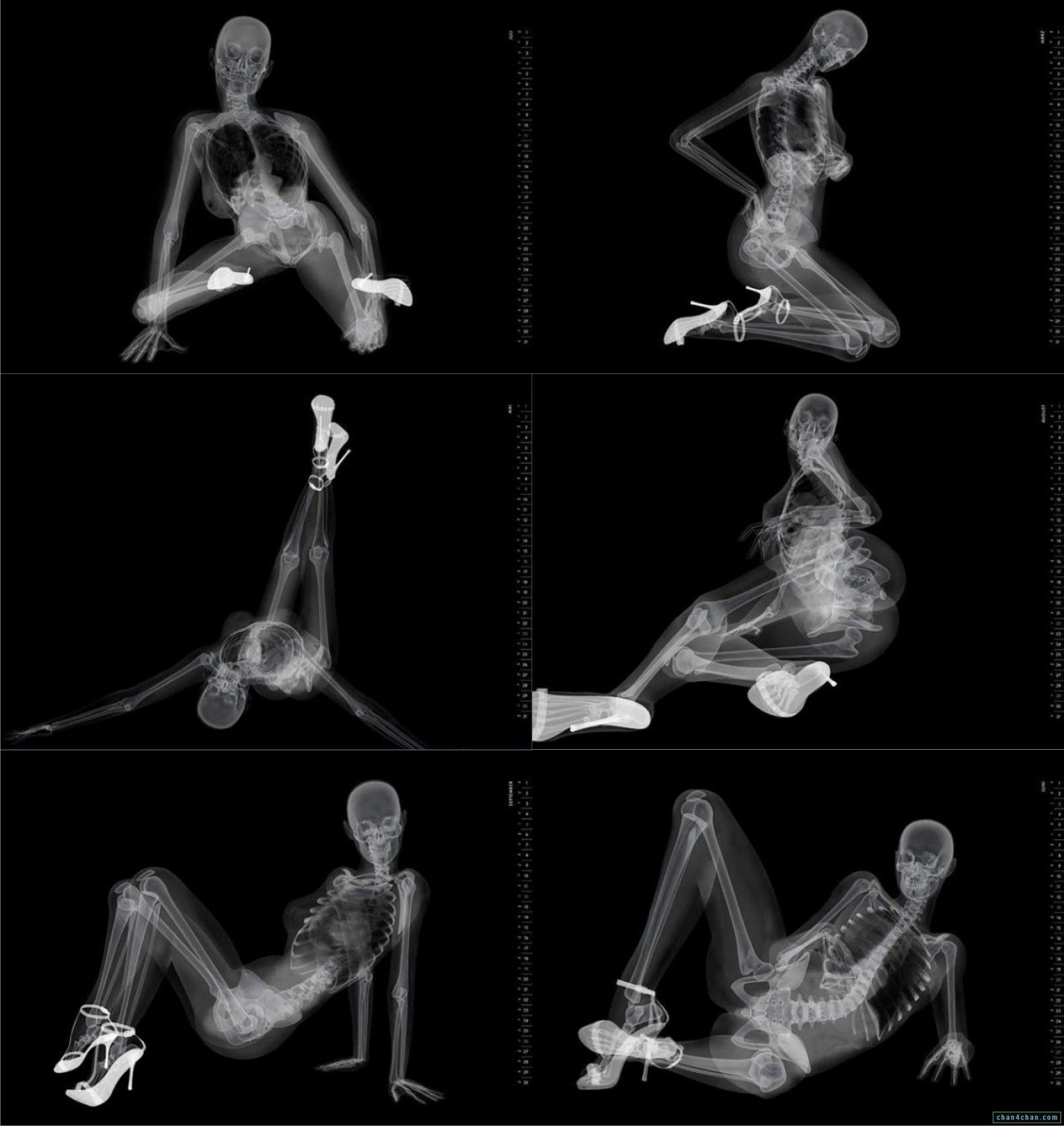 Porn Female Skeleton - Porn Skeleton Heels Ray - XXXPicss.com