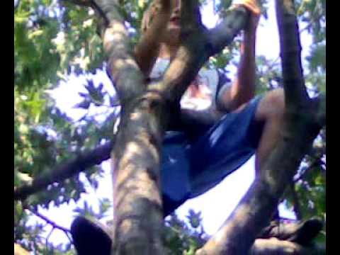 Porno Tarzan Anna Youtube