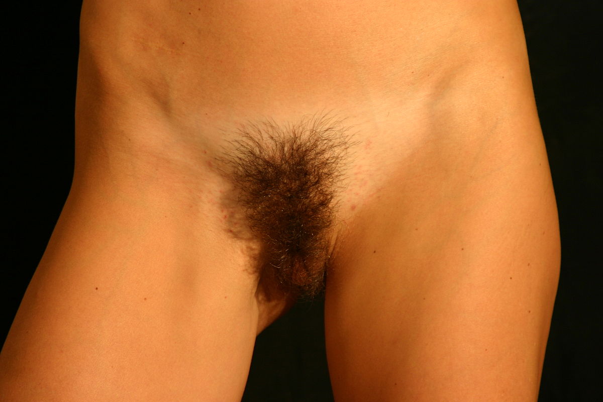 Tumblr Smooth Pubes