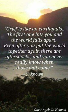 Quotes About Death Of A Father Didn Tell Me Grief 1