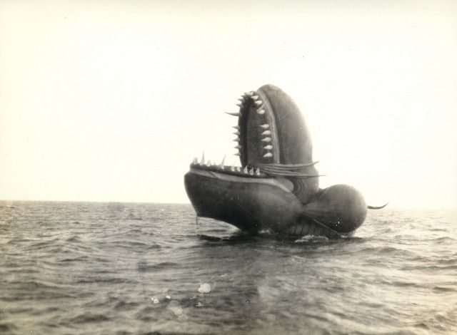 Sea Serpent Being Floated Over From Coatue Nantucket