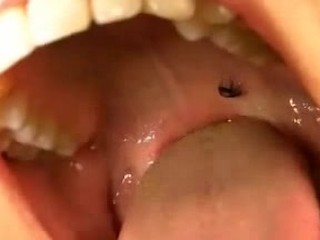Sexy Chinese Girl Ladybug Swallow