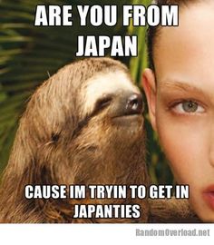 Sloth Memes Seductive Sloth Knows How To Get The Ladies Random Overload