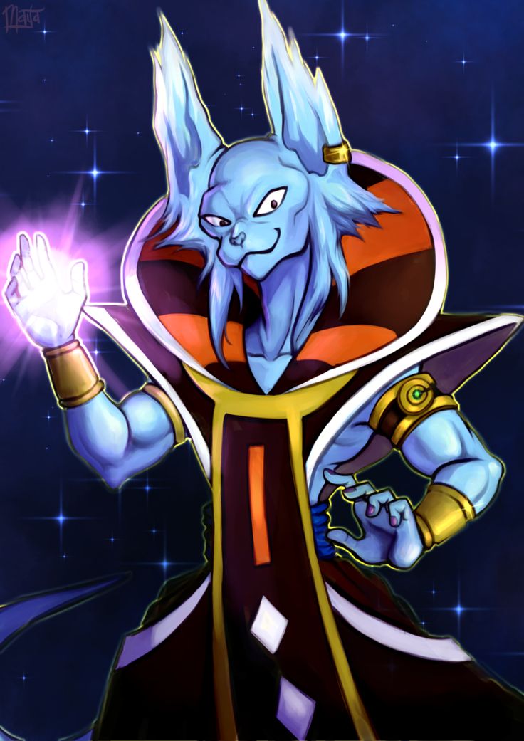 So The Beerus And Whis Fusion Was Reveled Yesterday And I Just Want To Worship Him As New God Cause Well He Kinda Is One