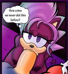 Sonia The Hedgehog Sonic Porn Blowjob Breasts Brother And Sister Cum Dreamcastzx Fellatio Female Hedgehog