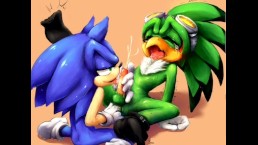 Sonic Yaoi Thanksgiving With A Hunky Bird 1