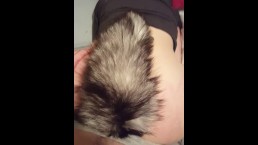 Teen Getting Pounded From Behind Huge Fox Tail Plug In Ass 1