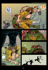 Teenage Mutant Ninja Turtles Porn Comics 5