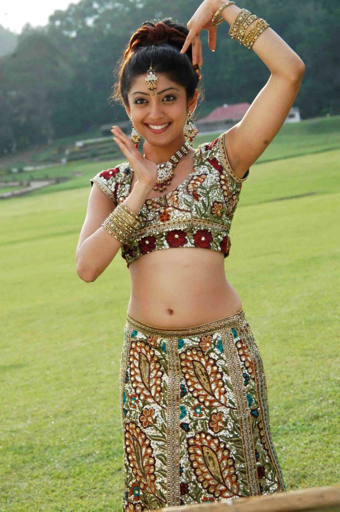 Telugu Actress Pranitha Hot Navel Show Stills Sexy Woman Brunette 4