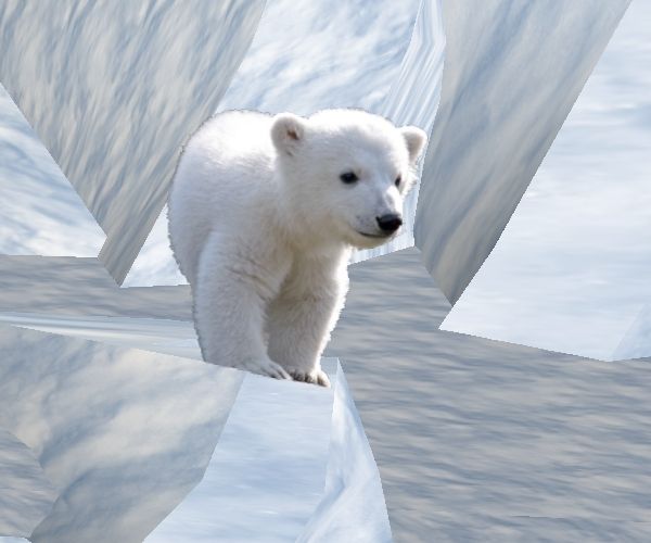 The Habitats Of Polar Bears Are In And Around Water And On Tundras Frozen Land