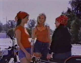 The Oak Drive In The Young Cycle Girls Aka Cycle Vixens
