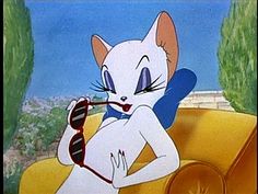 Tom And Jerry Cartoon Casanova Cat