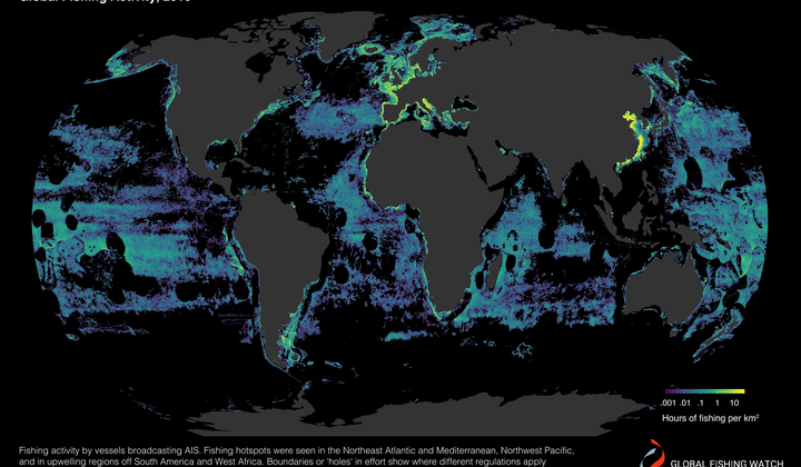 Tracking Fishing Vessels Reveals Toll On Oceans