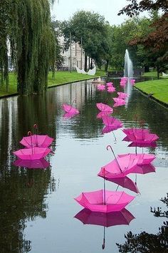 Umbrellas In The Canal Umbrellas Parks