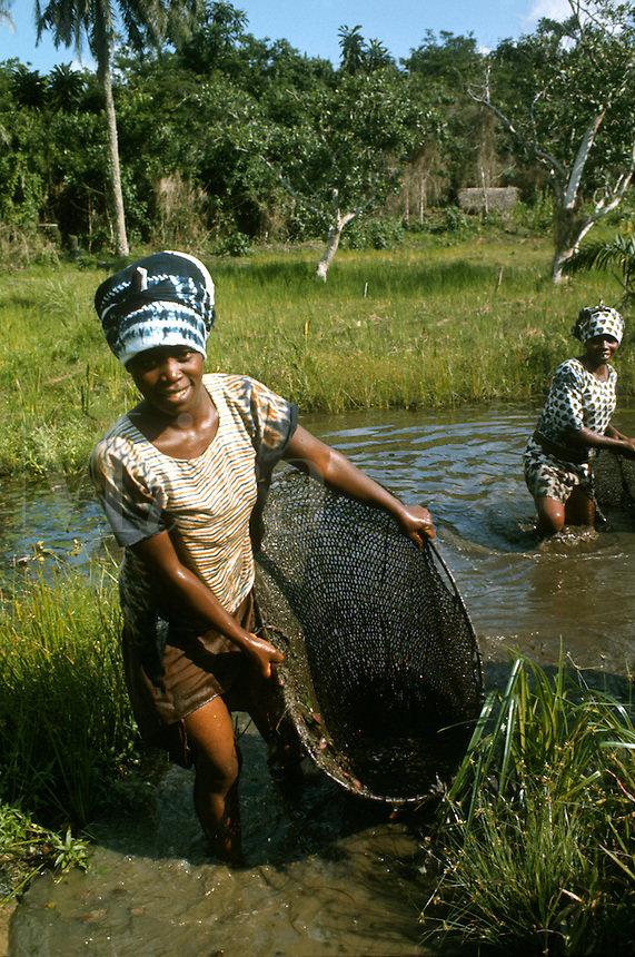 West Africa Liberia Kpelle Tribe Women Fishing With Hand Nets In Shallow Stream Courtesy Acques Jangao Source Jangoux