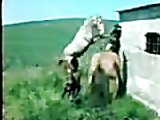 Woman Having Sex With Donkey Only Real Amateurs