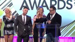 Xbiz Awards Cinderella Wins Parody Release Of The Year Drama Award